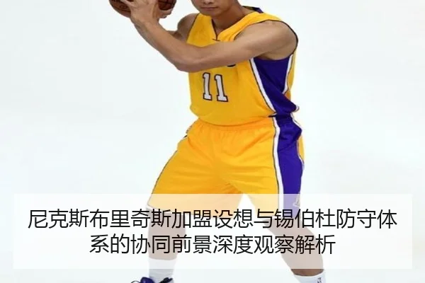 尼克斯布里奇斯加盟设想与锡伯杜防守体系的协同前景深度观察解析