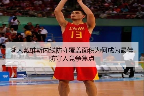 湖人戴维斯内线防守覆盖面积为何成为最佳防守人竞争焦点