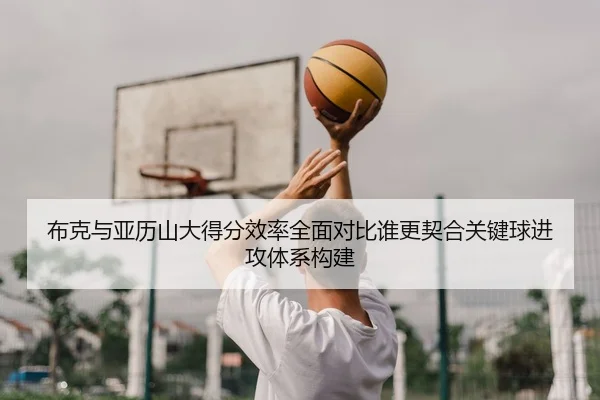 布克与亚历山大得分效率全面对比谁更契合关键球进攻体系构建